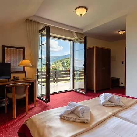 Hotel Dziki Potok Karpacz Konferencje&SPA-2
